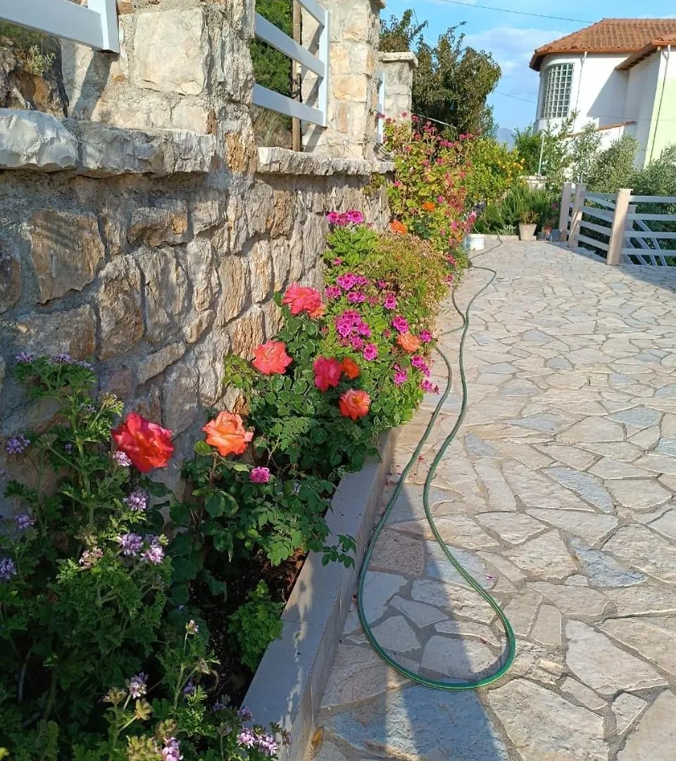 Hotel Vila Aleks Vuno Albania