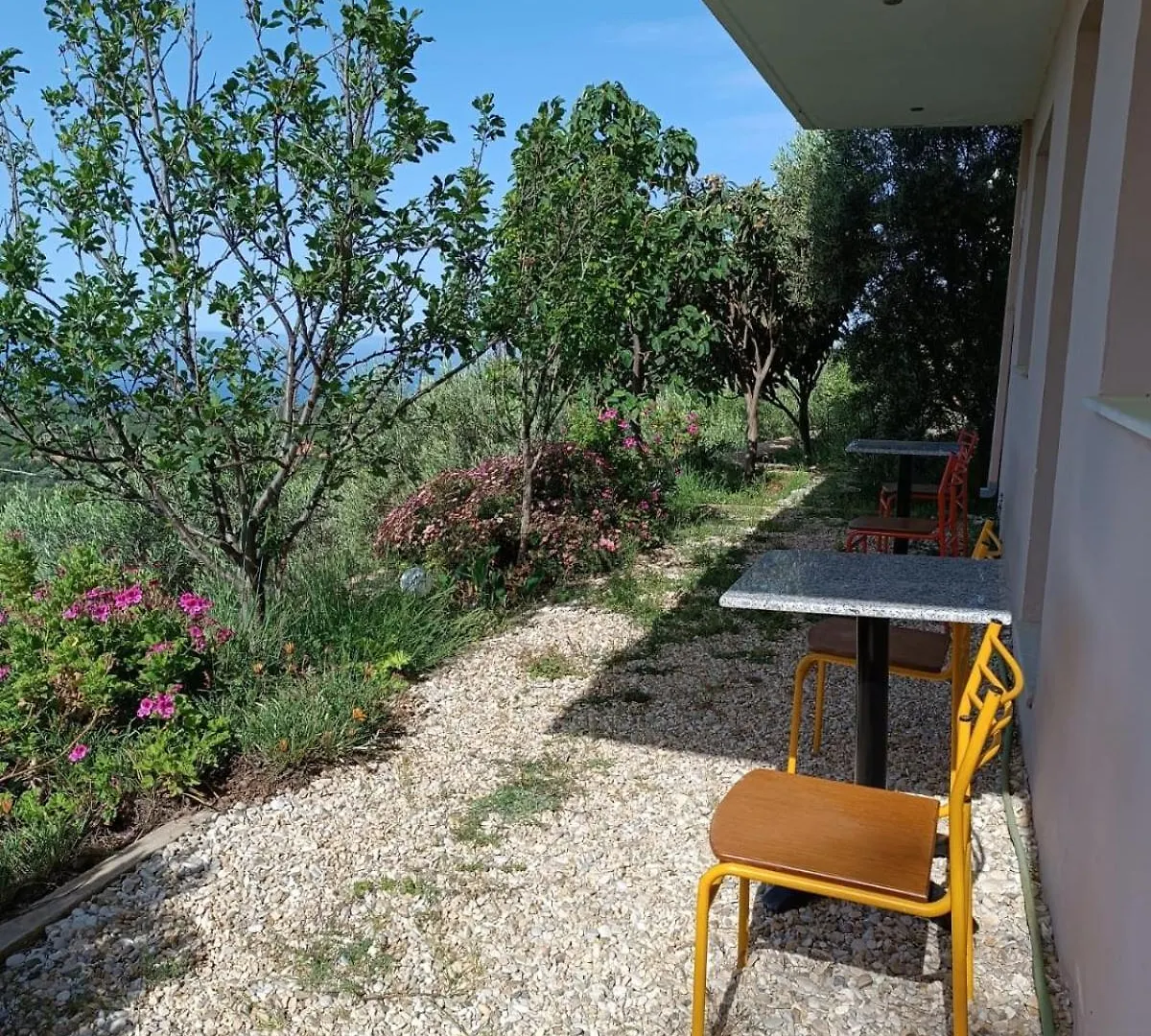 Hotel Vila Aleks Vuno